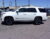 2017 Cadillac Escalade Platinum, Cadillac, Escalade, Glendale, Arizona